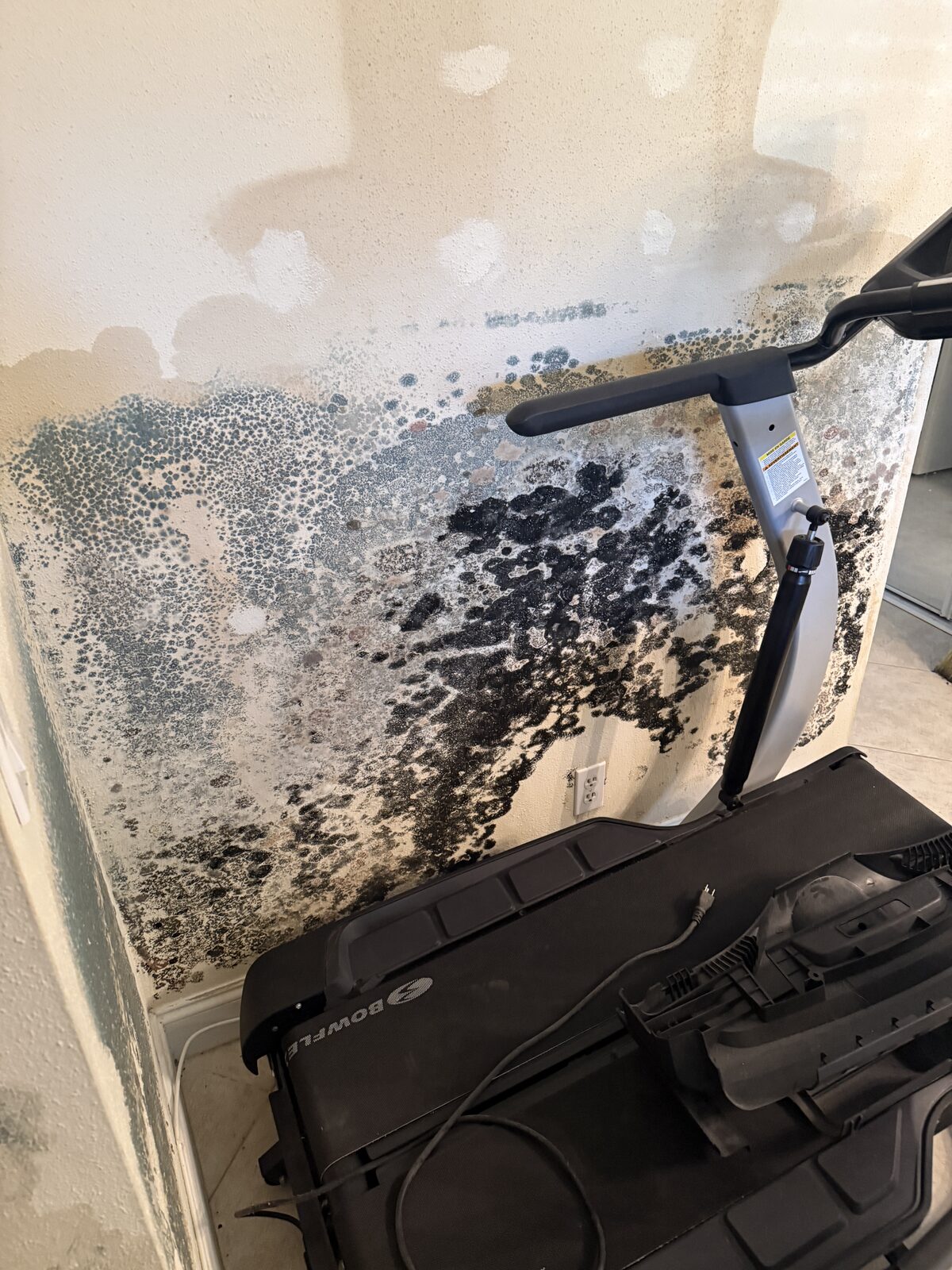 Pure Shield Restoration job photo