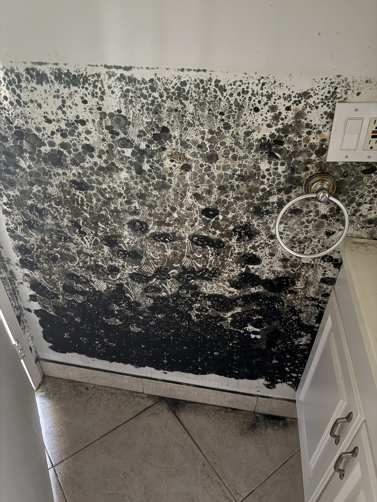 Pure Shield Restoration job photo
