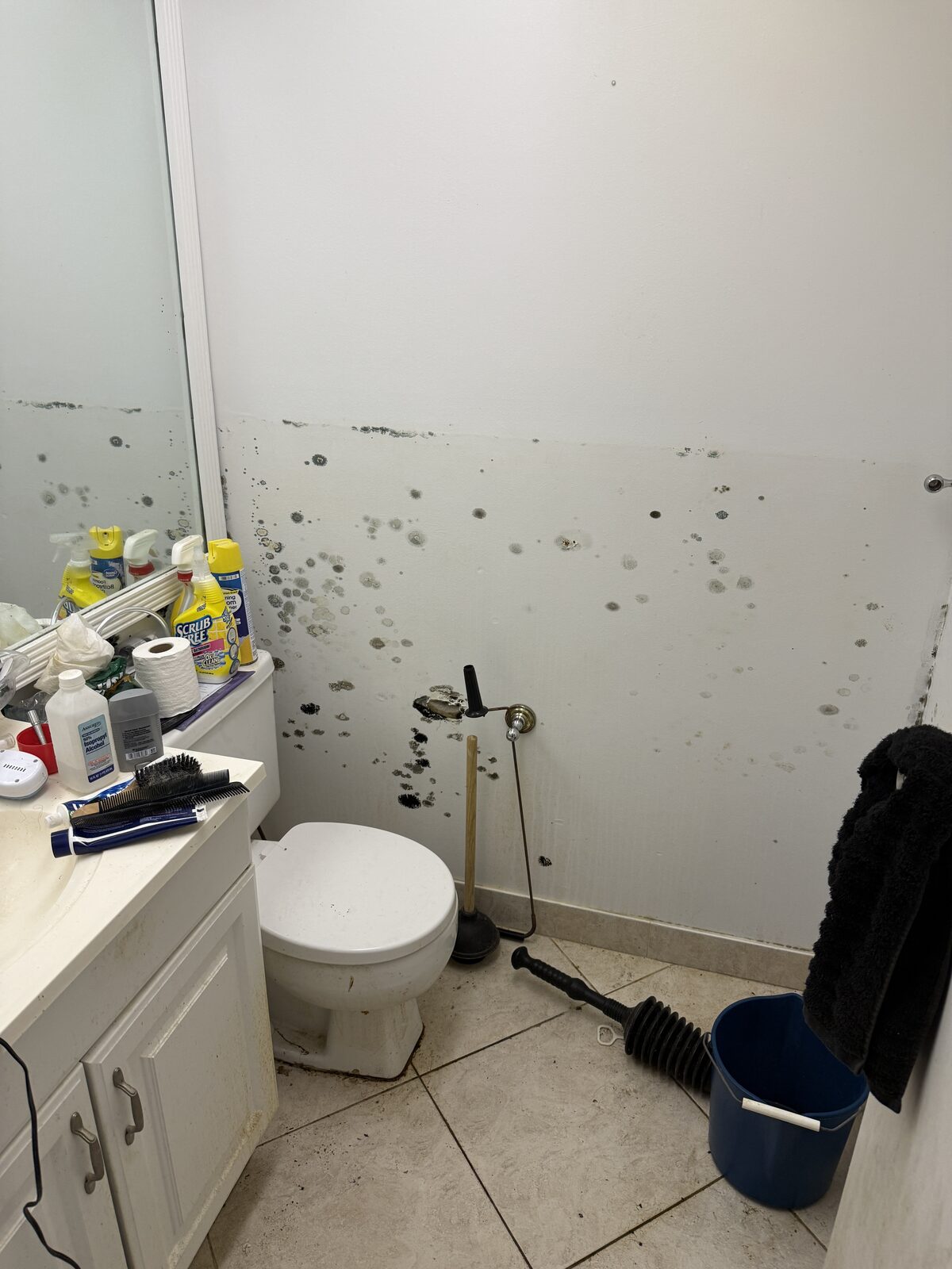 Mold around a condo bathroom vanity and mirror in Boca Raton