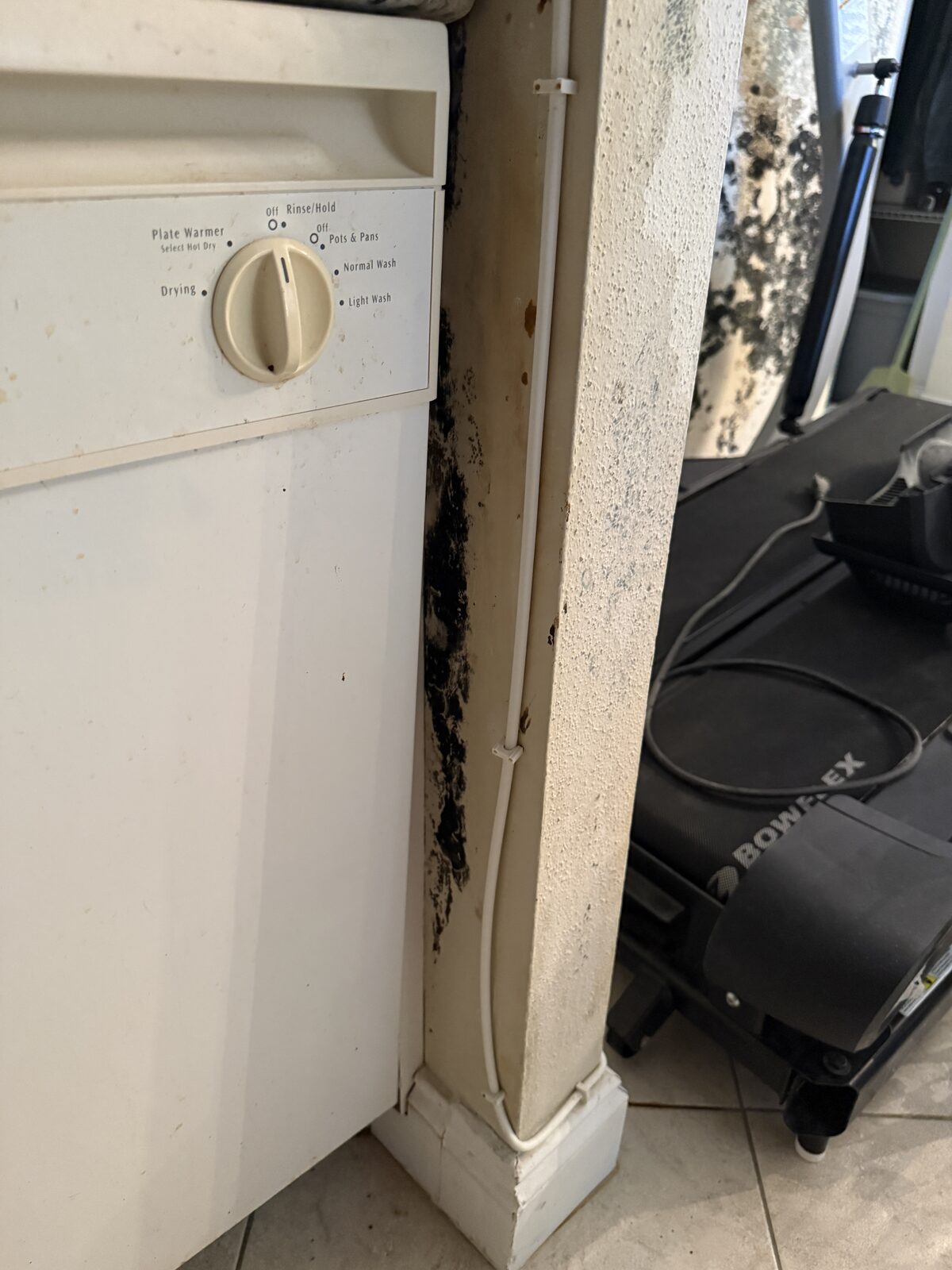Mold growth near the laundry and appliance area of a Boca Raton condo