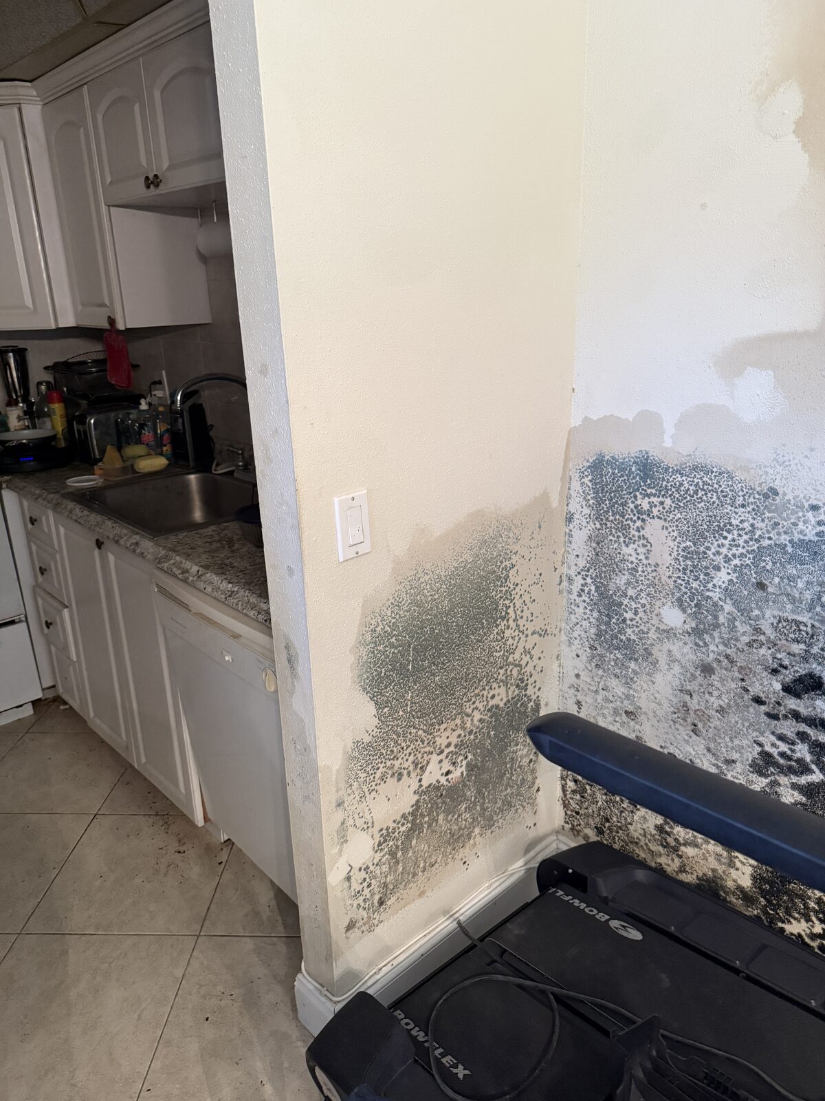 Mold spreading across condo drywall during a Boca Raton mold remediation
