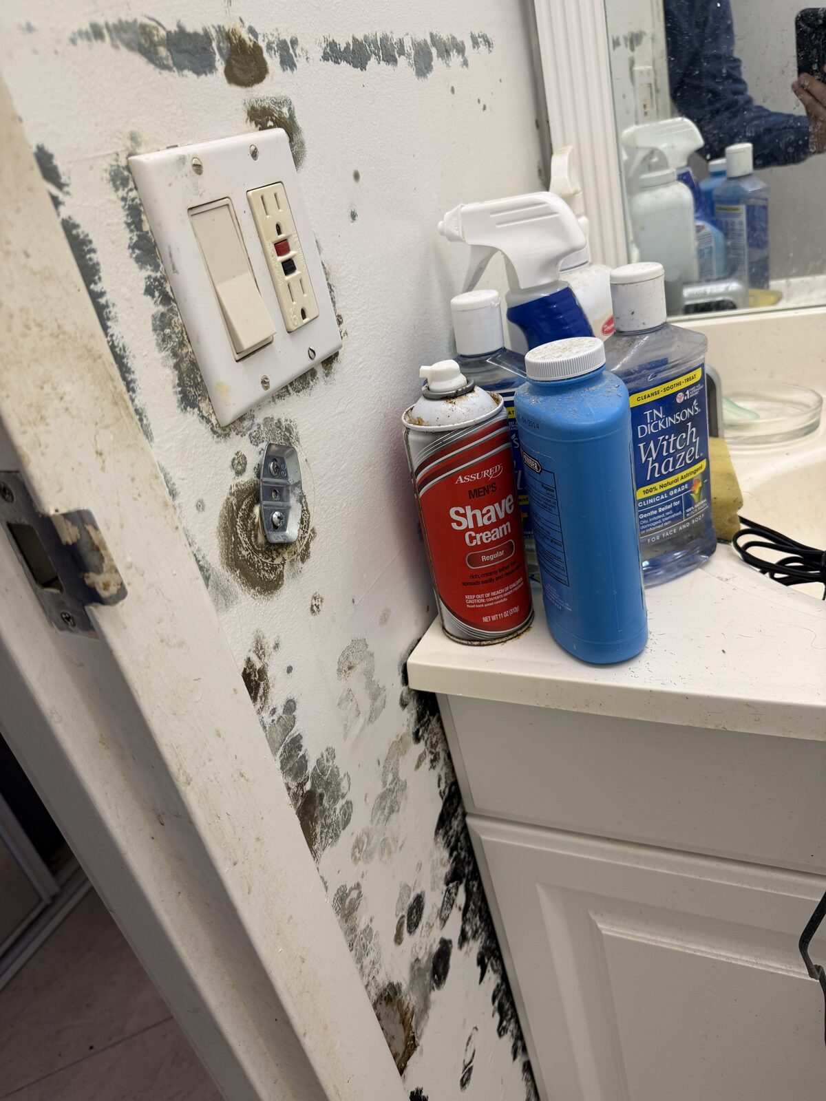 Antimicrobial products used during mold remediation in a Boca Raton condo
