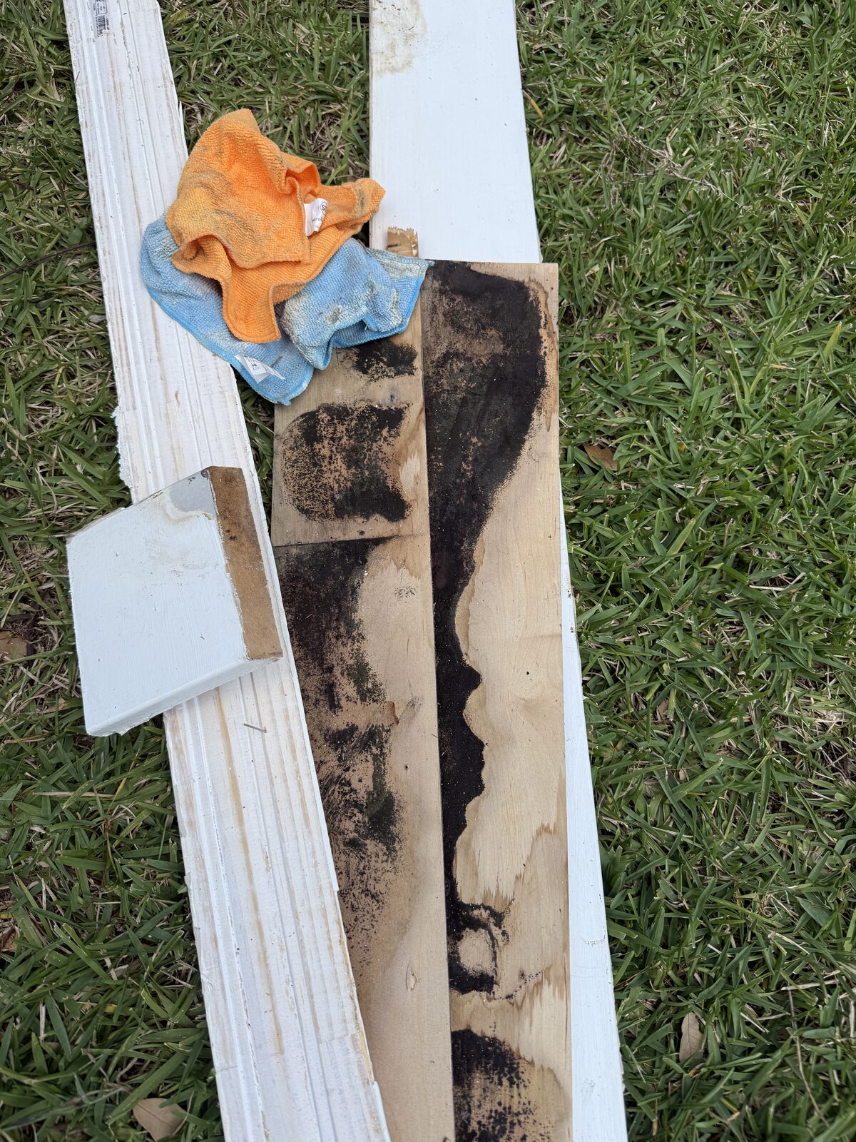 Pure Shield Restoration job photo