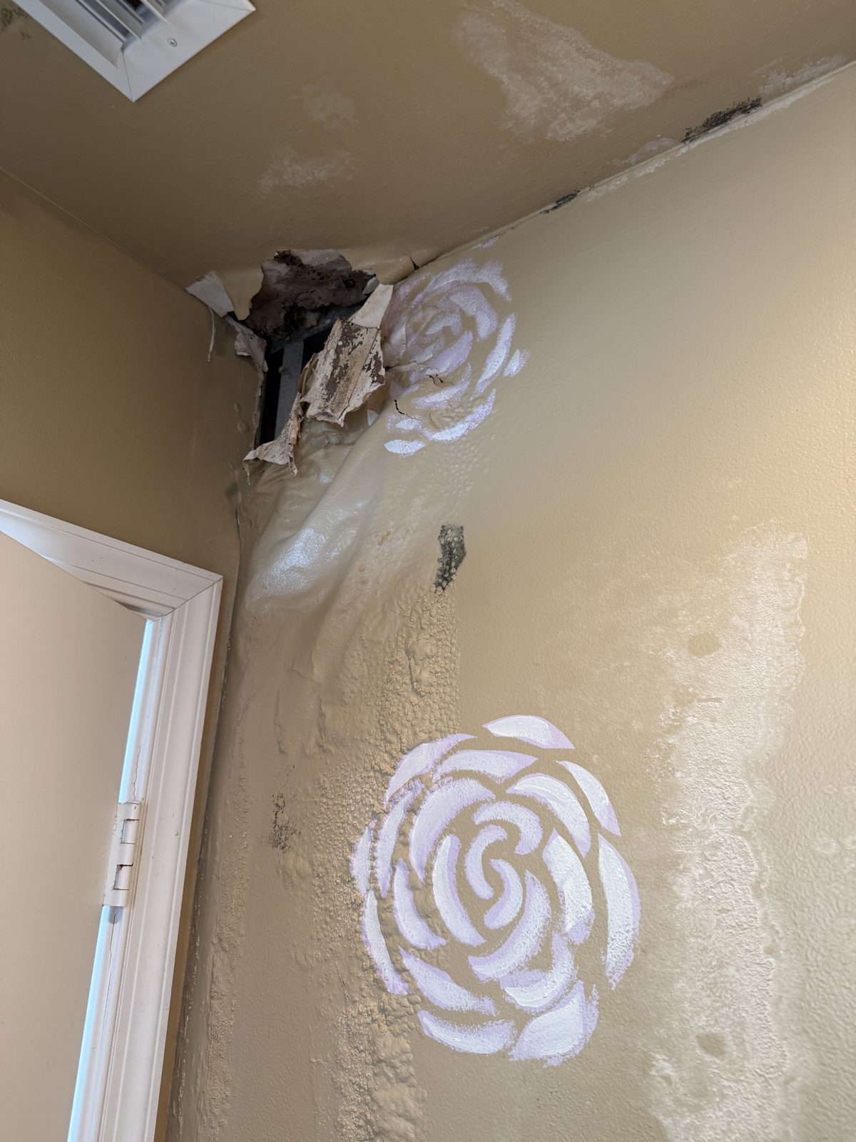 Mold spreading down a bedroom wall in a Boynton Beach home