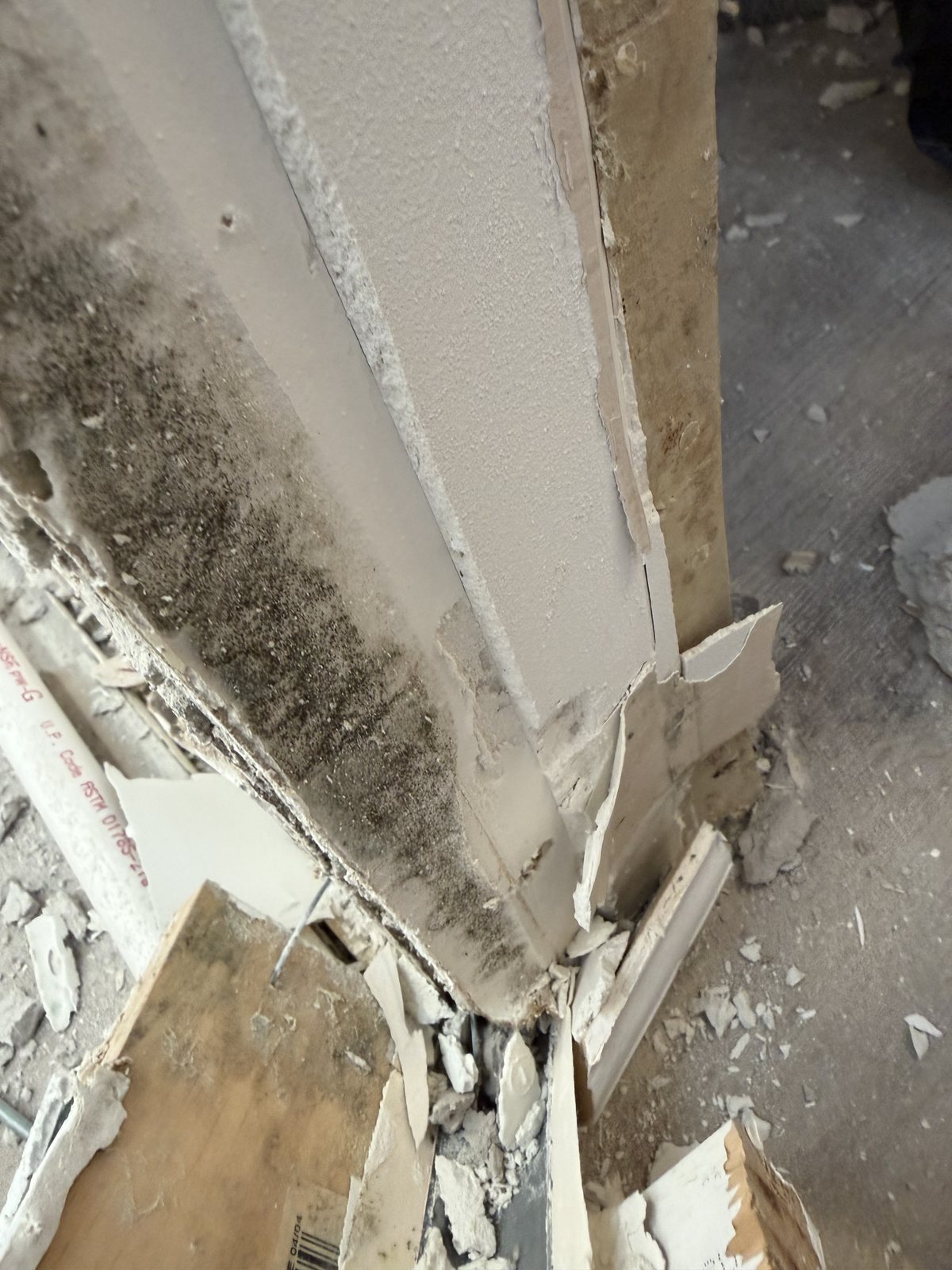 Black mold on the back of drywall removed from a Coconut Creek condo