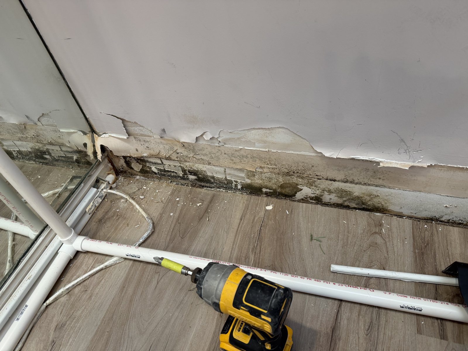 Mold and water damage restoration in Coconut Creek