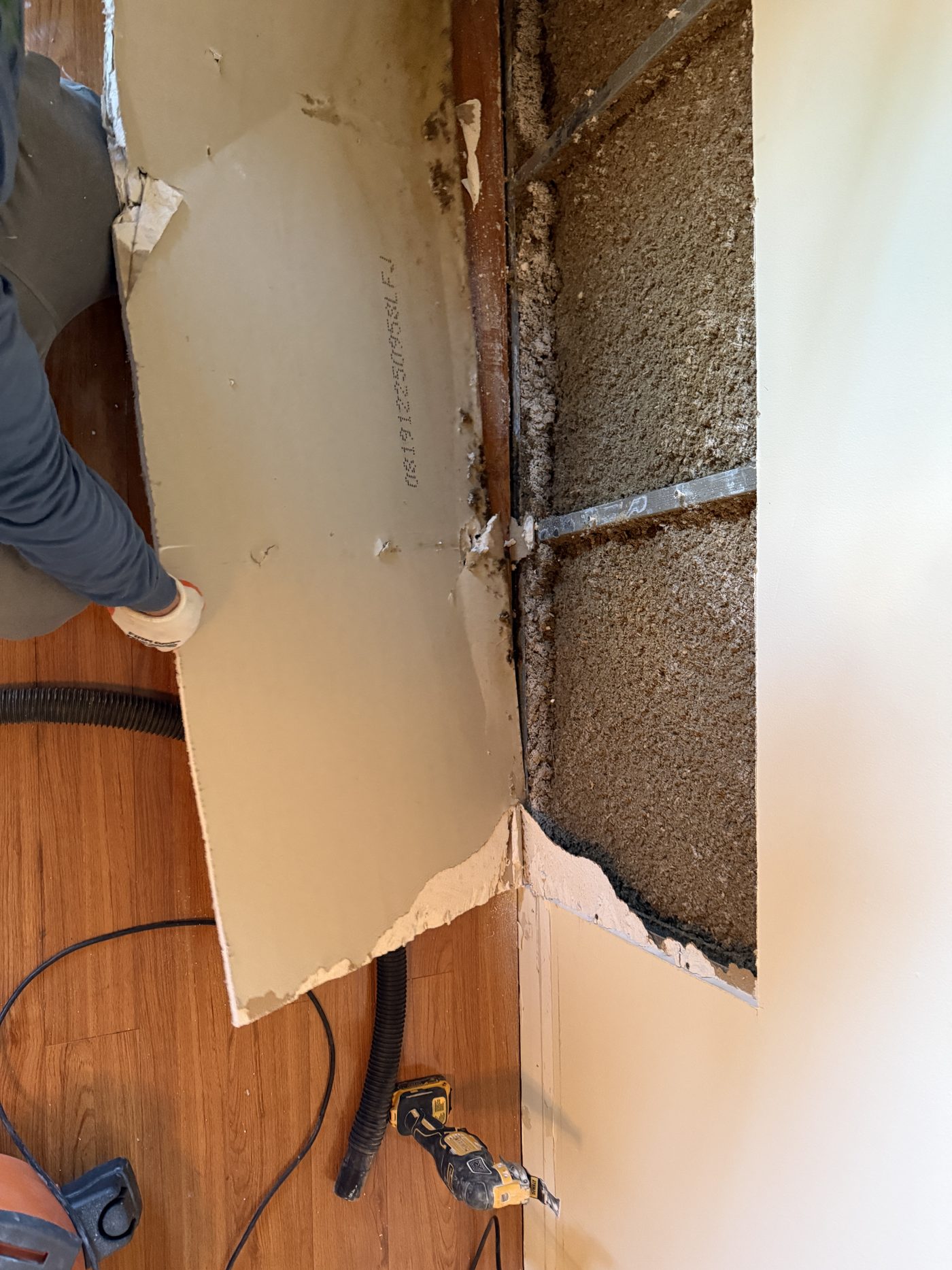 Removing water-damaged drywall from a wall, showing the wet and mold-stained back face that was hidden from view
