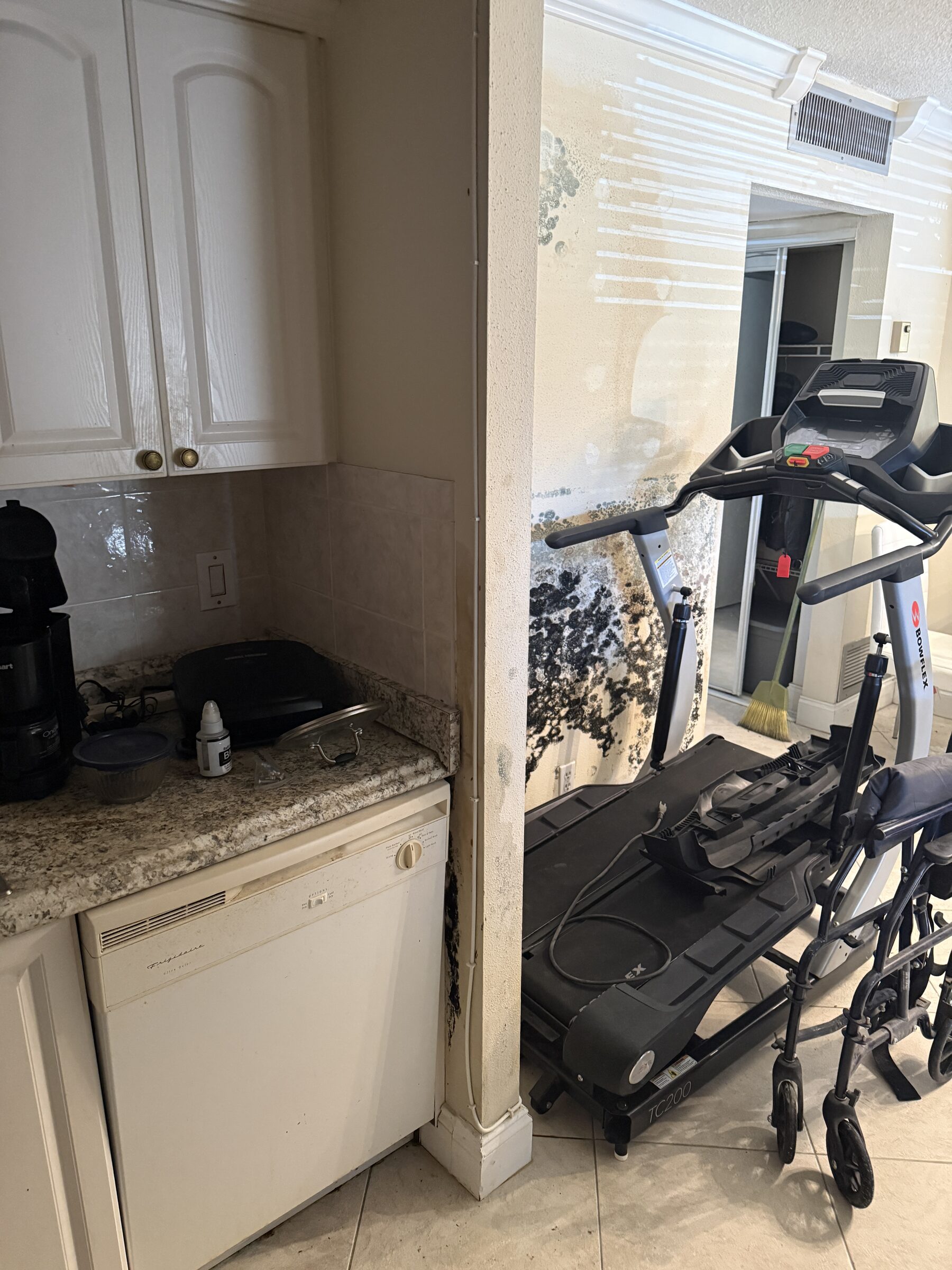 Mold and water damage restoration in Pompano Beach