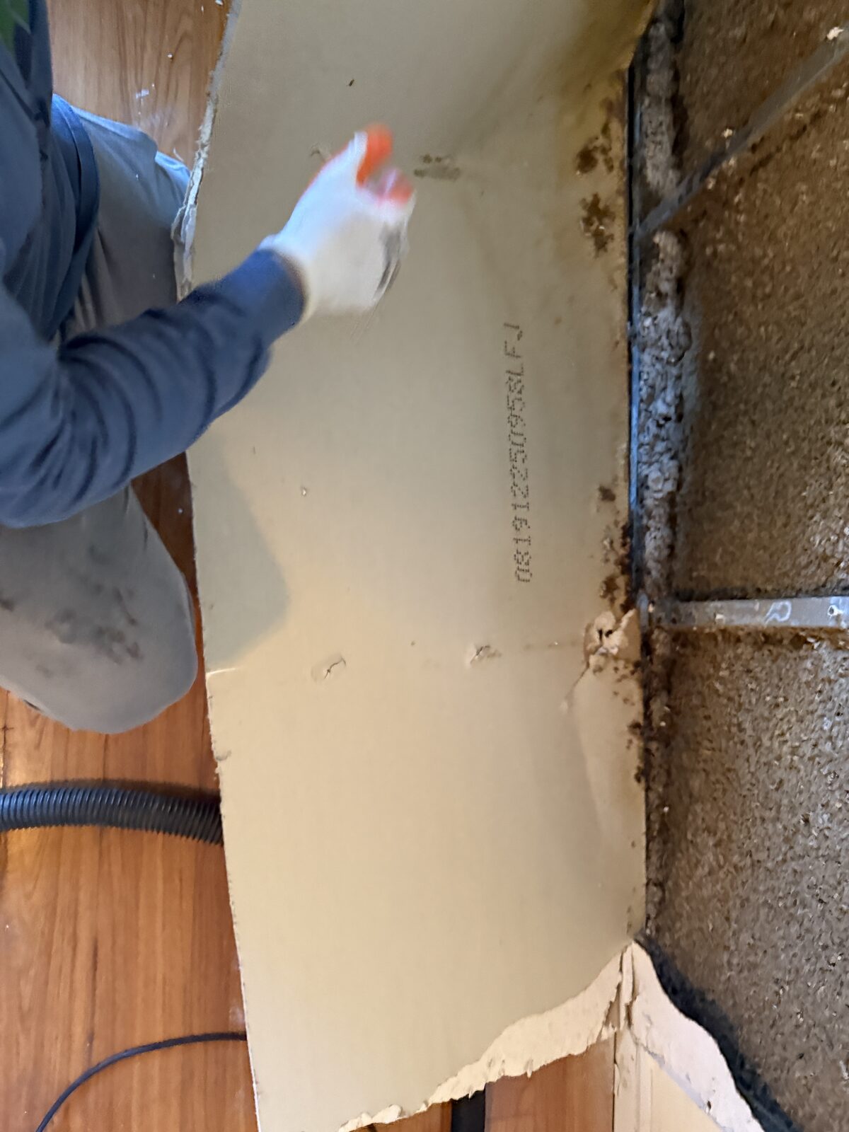 Pure Shield Restoration job photo