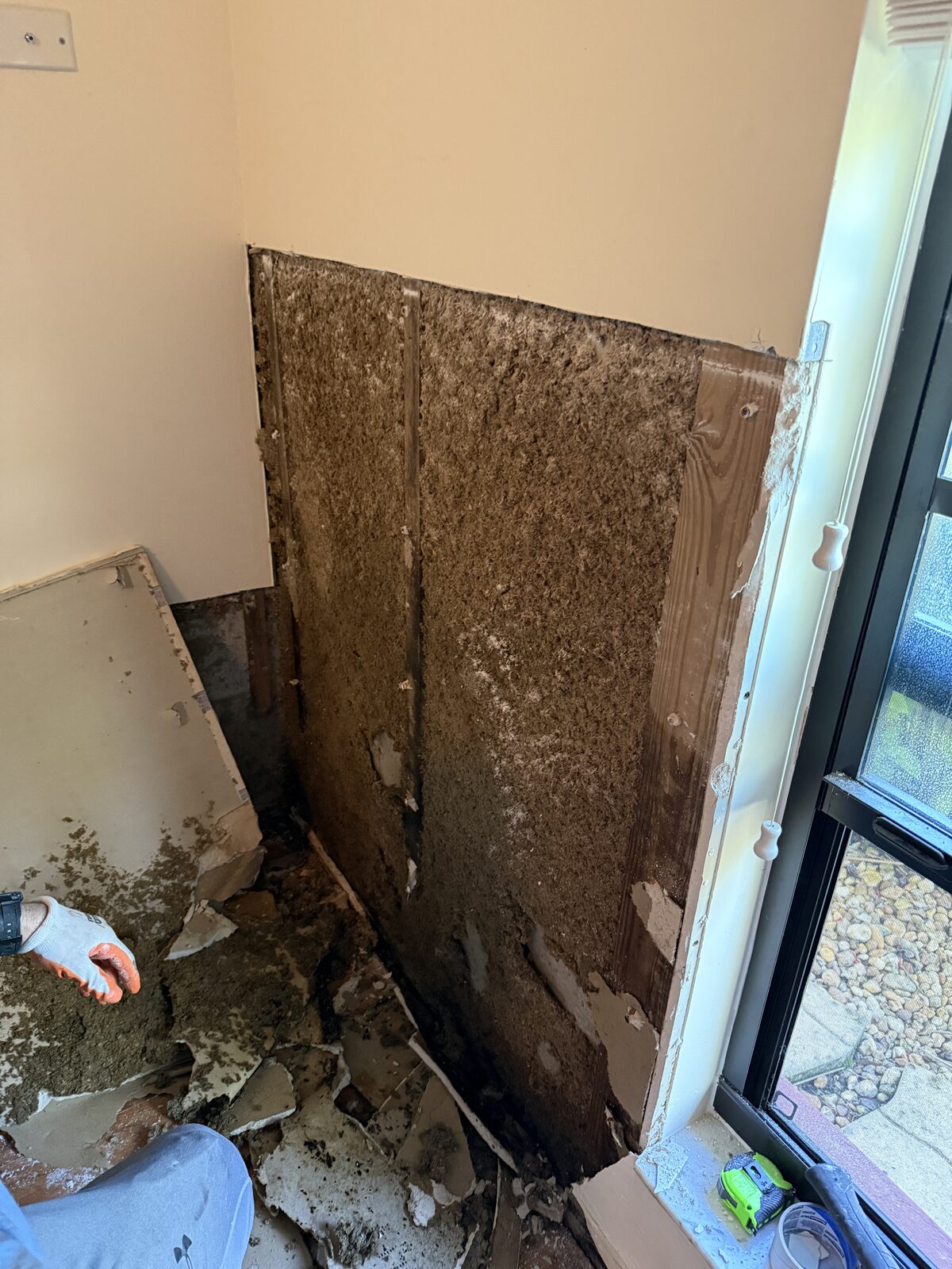 Mold Remediation case study