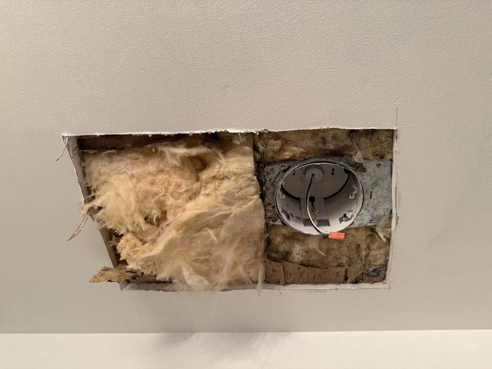 Opened ceiling showing wet attic insulation and staining above the drywall