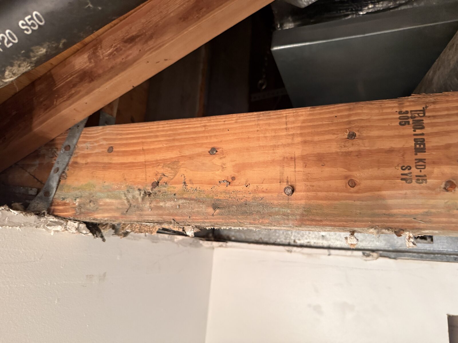 Contamination on exposed wood ceiling framing before HEPA vacuuming and sanding