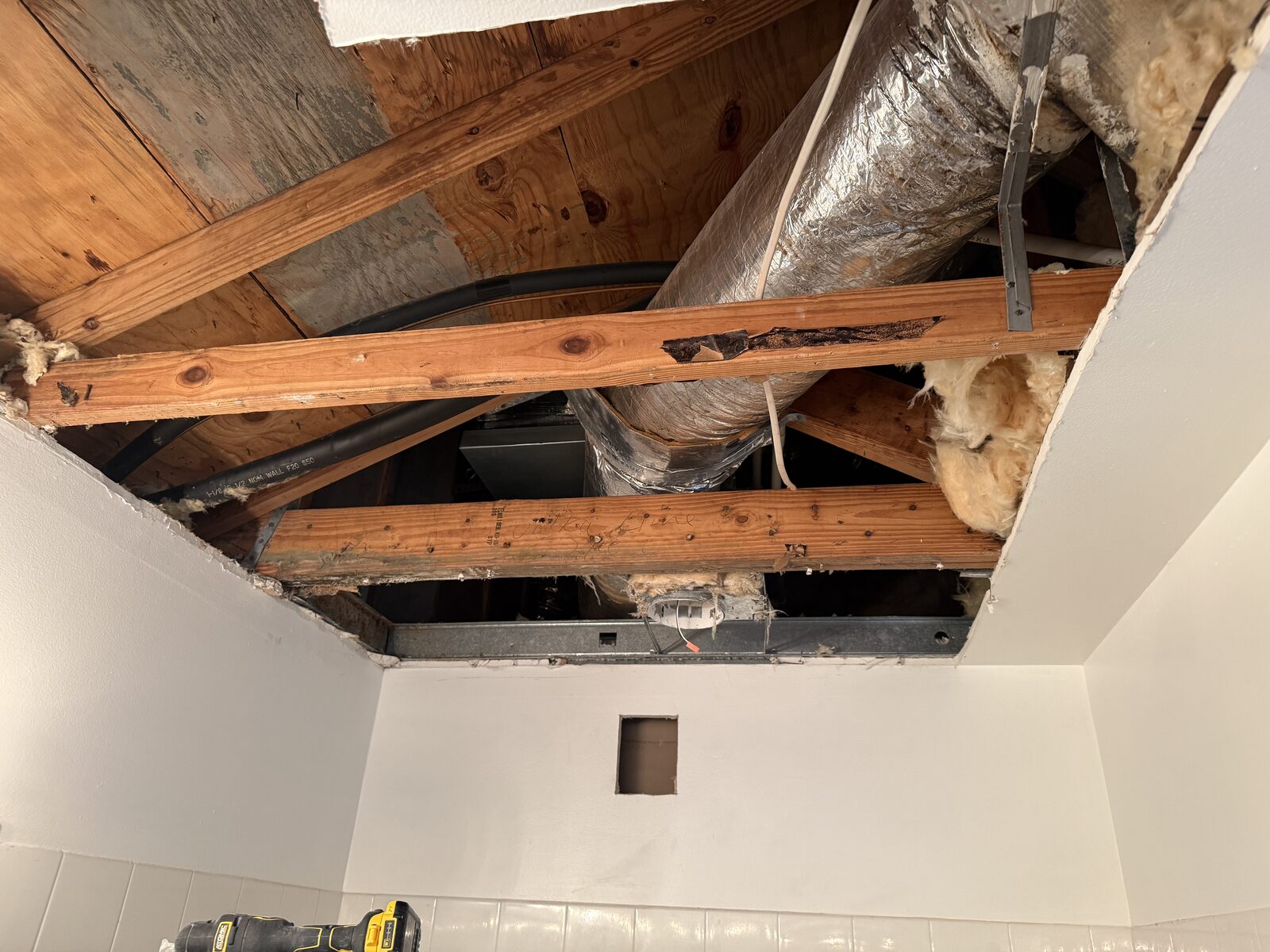 Mold and water damage restoration in Parkland